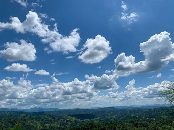 牧場(chǎng)實景